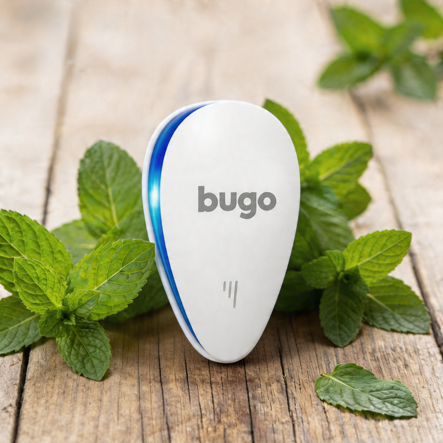 Bugo Indoor