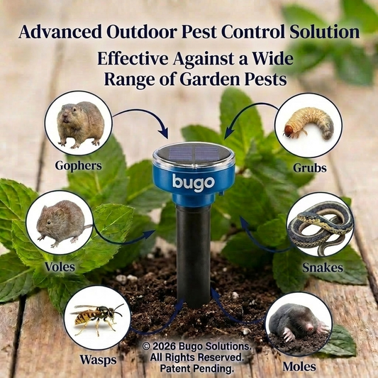 Bugo Outdoor