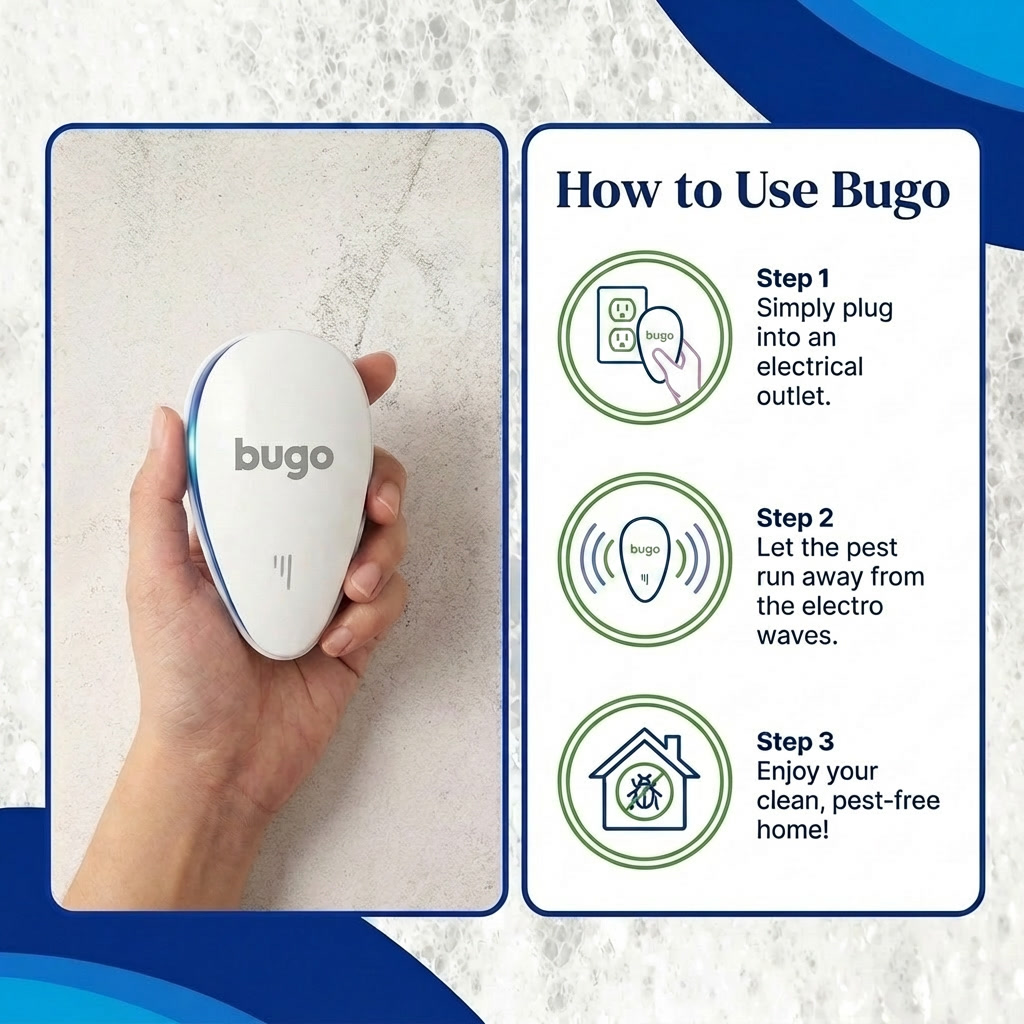 Bugo Indoor