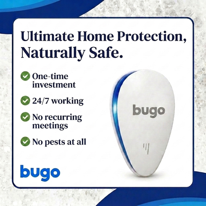 Bugo Indoor